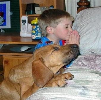 Modlící se dítě